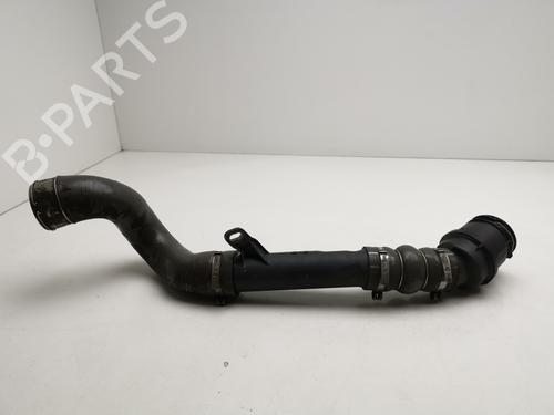 Pipe RENAULT KANGOO / GRAND KANGOO II (KW0/1_) 1.5 dCi 90 (KW05, KW08, KW0G, KW11) | BP29731567M125 