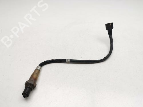 Elektronische sonde Elektronische sonde 39446125 39446125
