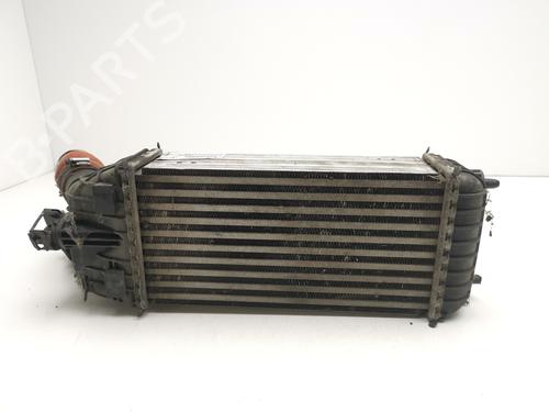 Intercooler PEUGEOT 208 I (CA_, CC_) 1.6 BlueHDi 100 | BP29000040M30 