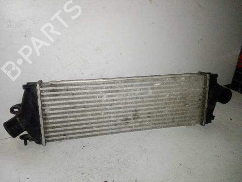 Used Intercooler RENAULT TRAFIC II Bus (JL) 2.0 dCi 115 (JL00, JL01, JL0H, JL0M, JL0U) (114 hp) 28999991