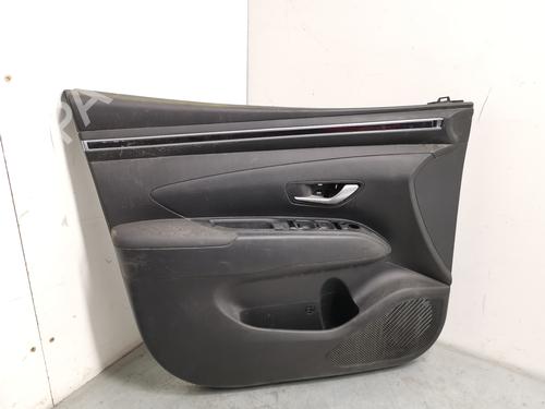 Used Front left panel HYUNDAI TUCSON (NX4E, NX4A) [2020-2026]  31252694