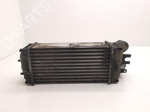 Intercooler CITROËN BERLINGO MULTISPACE (B9) 1.6 HDi 75 / BlueHDi 75 | BP29000061M30