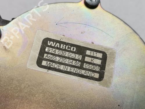 Vakuumpumpe SSANGYONG RODIUS I | BP30681561M80