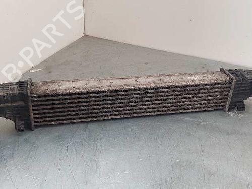 Intercooler MERCEDES-BENZ CLS (C219) [2004-2011]  29000110