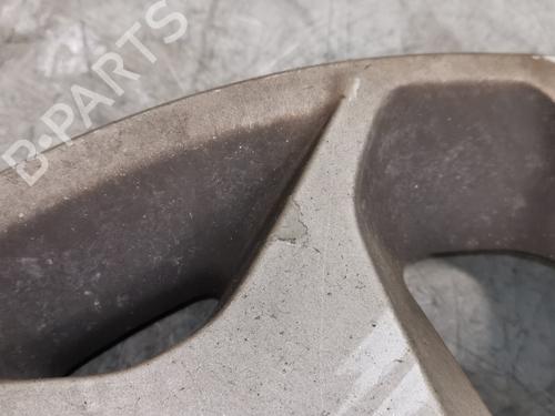 Hub cap FORD TRANSIT CONNECT V408 Box Body/MPV  | BP29941858C160