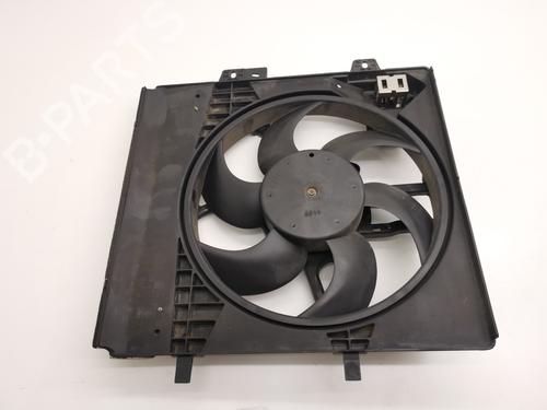 Used Radiator fan PEUGEOT 207 (WA_, WC_) [2006-2015]  28982364