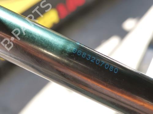 Tailgate lift support PEUGEOT 3008 I MPV (0U_)  | BP28978551C138 