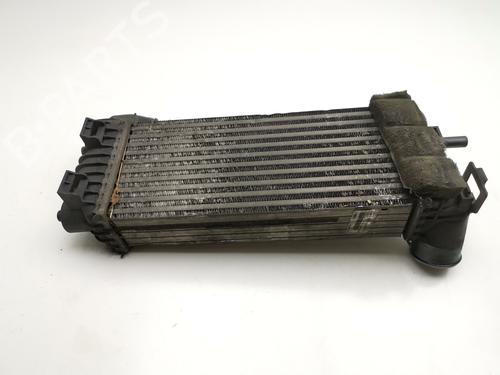 Intercooler FORD TOURNEO CONNECT / GRAND TOURNEO CONNECT V408 MPV | BP28999976M30