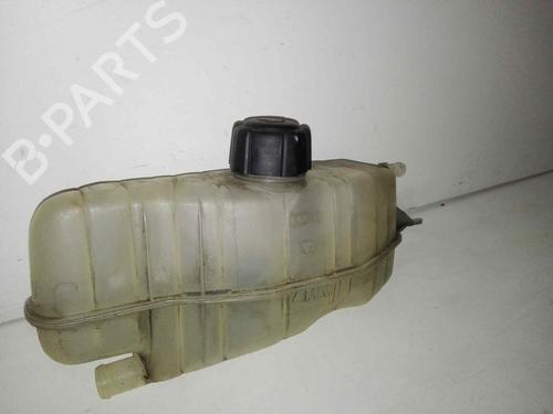 Used Expansion tank RENAULT CLIO III (BR0/1, CR0/1) 1.5 dCi (BR17, CR17) (86 hp) 28978084