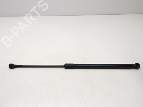 tailgate-lift-support-ford-ecosport-2011-2012-2013-2014-2015-2016-2017-2018-2019-2020-2021-2022-39438359 main image