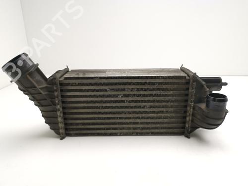 Intercooler PEUGEOT 3008 I MPV (0U_) [2009-2017]  28999955