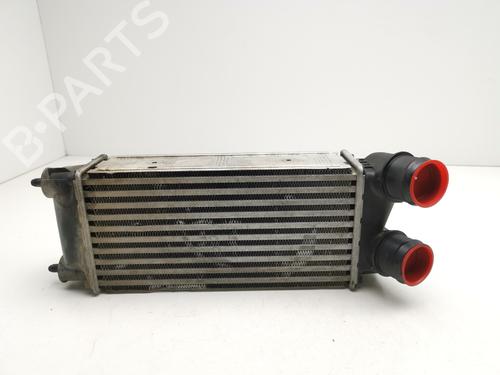 Ladeluftkühler für CITROËN BERLINGO MULTISPACE (B9) 1.6 BlueHDi 100 (99 hp) 28999950
