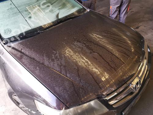 Hood HONDA ACCORD VII (CL, CN) 2.2 i-CTDi (CN1) | BP29861739C1