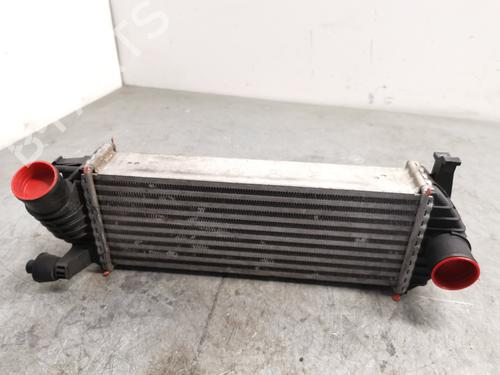 Used Intercooler RENAULT KANGOO / GRAND KANGOO II (KW0/1_) 1.5 dCi 90 (KW05, KW08, KW0G, KW11) (90 hp) 29718022