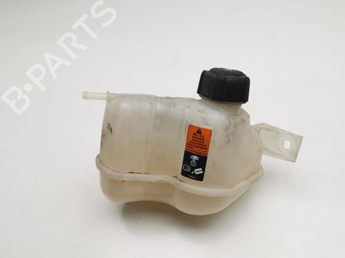 Used Expansion tank RENAULT KADJAR (HA_, HL_) 1.5 dCi 110 (HLA3) (110 hp) 28978022