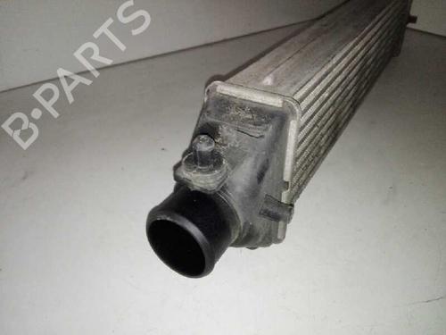 Intercooler FIAT BRAVO II (198_) 1.6 D Multijet (198AXH1B) | BP29000066M30 