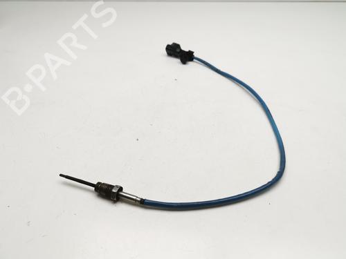 Elektronisk sensor FORD TOURNEO CONNECT / GRAND TOURNEO CONNECT V408 MPV [2013-2025]  28981975