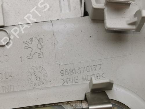 Interior roof light PEUGEOT 3008 I MPV (0U_)  | BP28981119I8 