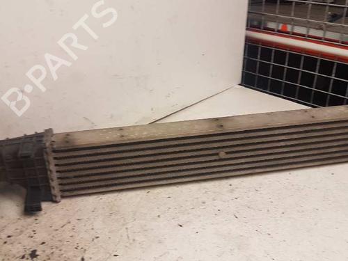 Intercooler MERCEDES-BENZ E-CLASS (W211) [2002-2009]  29000099