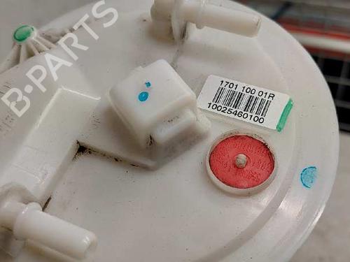 Fuel pump RENAULT LAGUNA III (BT0/1)  | BP28982336M76 