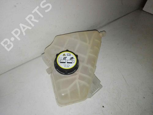Used Expansion tank FORD FIESTA VI (CB1, CCN) 1.6 TDCi (95 hp) 28978045
