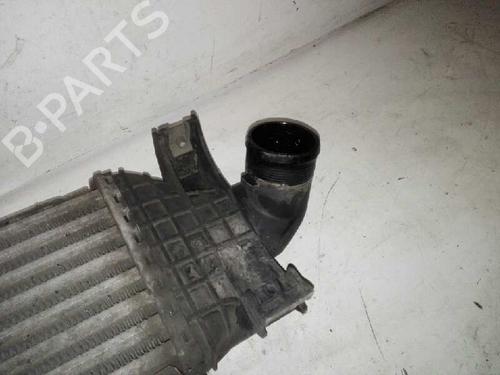 Intercooler FORD FOCUS II (DA_, HCP, DP) | BP29000086M30