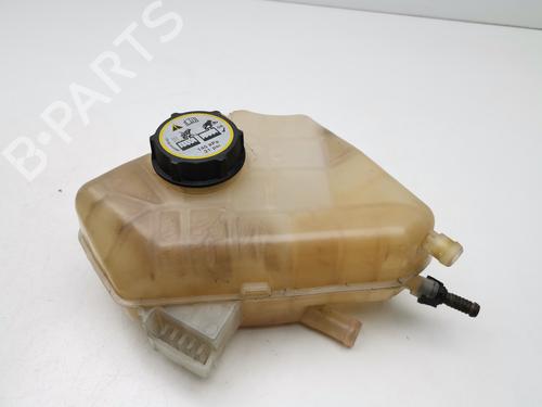 Used Expansion tank FORD FIESTA VI (CB1, CCN) [2008-2025]  29185755