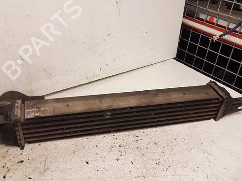 Used Intercooler CITROËN NEMO Box Body/MPV (AA_) [2008-2025]  29000063