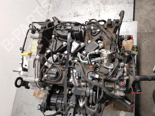 Engine FORD PUMA (J2K, CF7) 1.0 EcoBoost | BP39443417M1 - Image 4