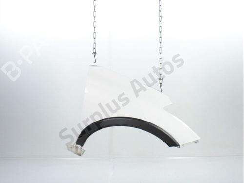 Used Right front fenders HYUNDAI i20 II (GB, IB) 1.0 T-GDI (101 hp) 32181437