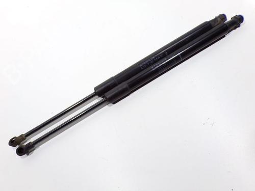 Tailgate lift support DACIA DUSTER (HS_) 1.5 dCi 4x4 | BP28260989C138 