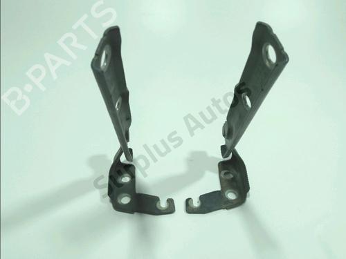 hingedoor-check-strap-vw-tiguan-5n_-2007-2008-2009-2010-2011-2012-2013-2014-2015-2016-2017-2018-32843130 main image