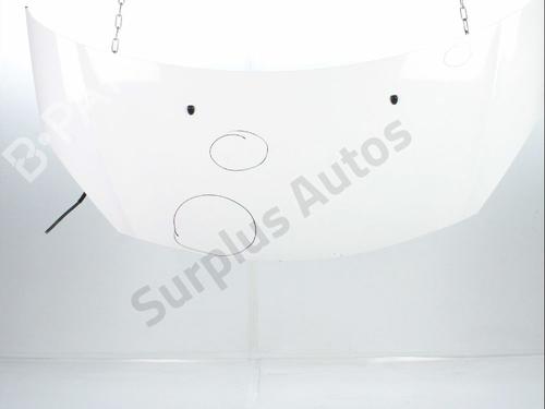 hood-citroen-c3-ii-sc_-2009-33568704 main image