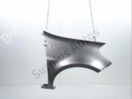 Used Right front fenders RENAULT CLIO III (BR0/1, CR0/1) 1.5 dCi (75 hp) 31368205