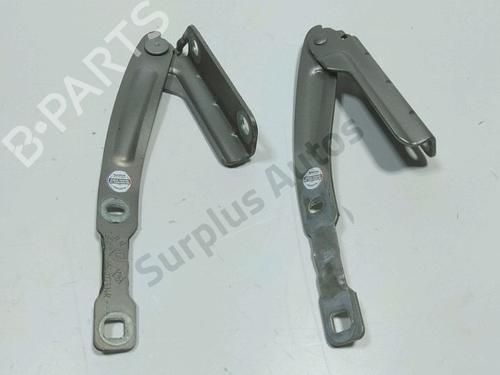 hingedoor-check-strap-dacia-lodgy-js_-2012-39089033 main image