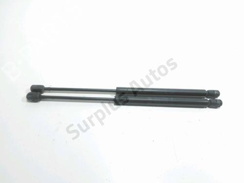 tailgate-lift-support-renault-clio-ii-bb_-cb_-1998-1999-2000-2001-2002-2003-2004-2005-2006-2007-2008-2009-2010-2011-2012-2013-2014-2015-2016-31123338 main image