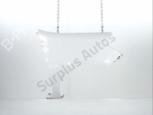 Used Right front fenders RENAULT CLIO III (BR0/1, CR0/1) 1.5 dCi (75 hp) 31058420