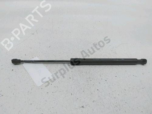 Gasfjeder motorhjelm DACIA DOKKER MPV (KE_) 1.6 (102 hp) 30993827