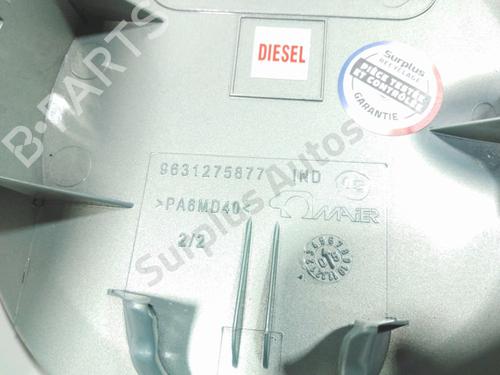 Fuel flap CITROËN XSARA PICASSO (N68) 1.6 HDi | BP28220479C131 