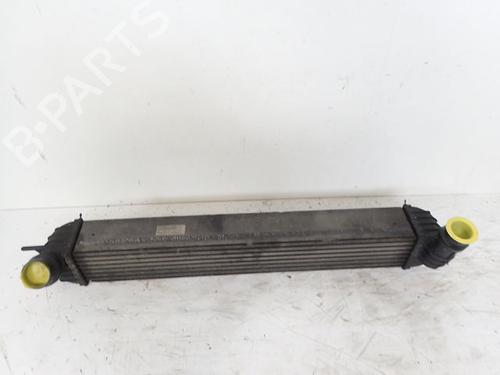 Used Intercooler RENAULT LAGUNA III (BT0/1) 2.0 dCi (BT01, BT08, BT09, BT0E, BT0K, BT12, BT1C, BT1D,... (150 hp) 30984297