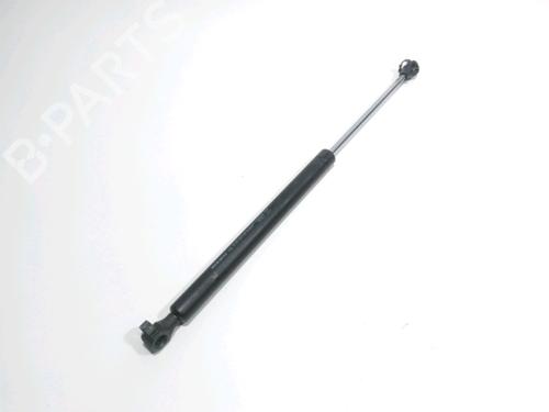 Gassdemper Bakluke RENAULT TWINGO I (C06_) 1.2 (C066, C068) (58 hp) 28261016
