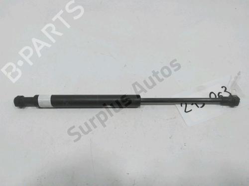 Hood lift support BMW 5 (E60) 530 d | BP30993822C139