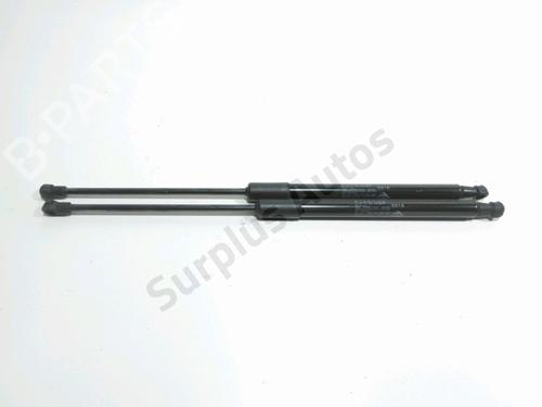 tailgate-lift-support-citroen-c3-iii-sx-2016-30608307 main image