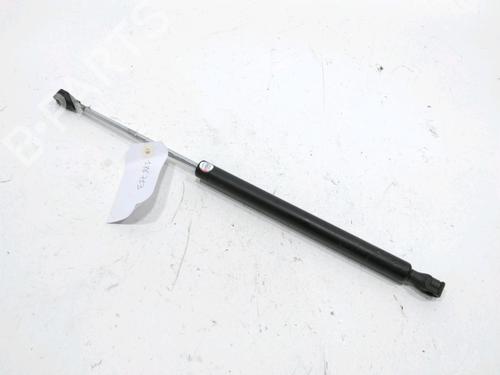 Used Tailgate lift support RENAULT TWINGO I (C06_) 1.2 (C066, C068) (58 hp) 31001852