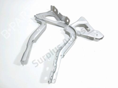 Used Hinge/Door check strap RENAULT CLIO V (B7_) 1.5 Blue dCi 100 (B7AD) (101 hp) 30769074