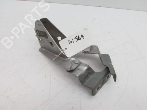Hinge/Door check strap RENAULT MEGANE II (BM0/1_, CM0/1_) 1.9 dCi (BM0G, CM0G) | BP28237454C146