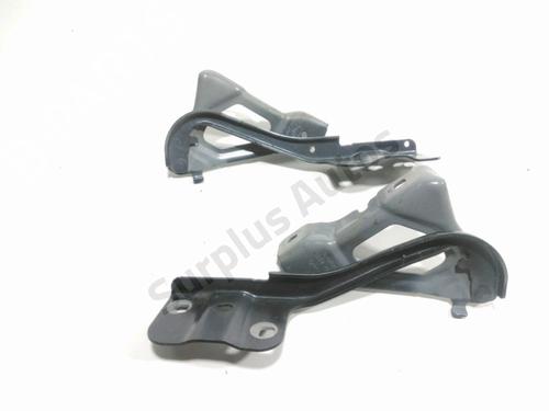 Hinge/Door check strap RENAULT CLIO V (B7_) 1.5 Blue dCi 100 (B7AD) | BP31986657C146
