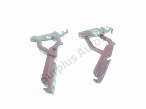 hingedoor-check-strap-ford-fiesta-vi-cb1-ccn-2008-28237563 main image