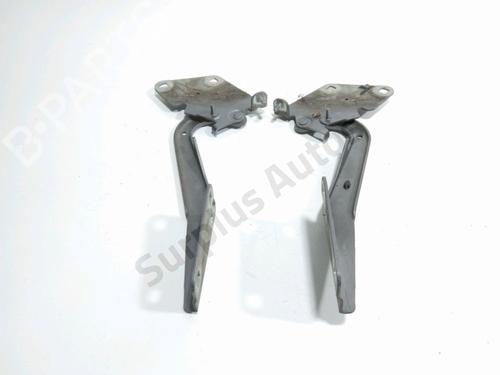 hingedoor-check-strap-renault-megane-iii-hatchback-bz01_-b3_-2008-34001853 main image