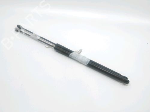 tailgate-lift-support-citroen-c4-picasso-i-mpv-ud_-2006-2007-2008-2009-2010-2011-2012-2013-2014-2015-31001909 main image